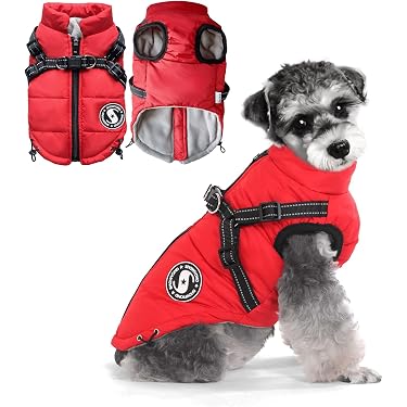 Amazon.co.jp 売れ筋ランキング: 犬用コート・ジャケット の中で最も