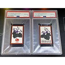 Amazon | PSA10 マリオ花札 12月 ロゴ クラブニンテンドー 2007 | 花札 