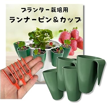 71QIjcGNDaL._AC_UL375_SR375,