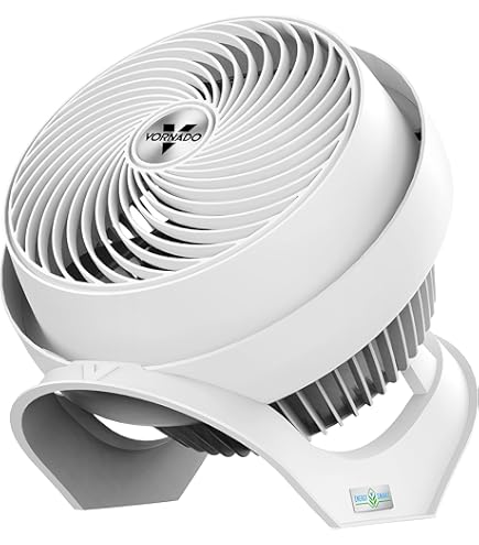 Amazon | Vornado 610DC Energy Smart Air Circulator with Variable