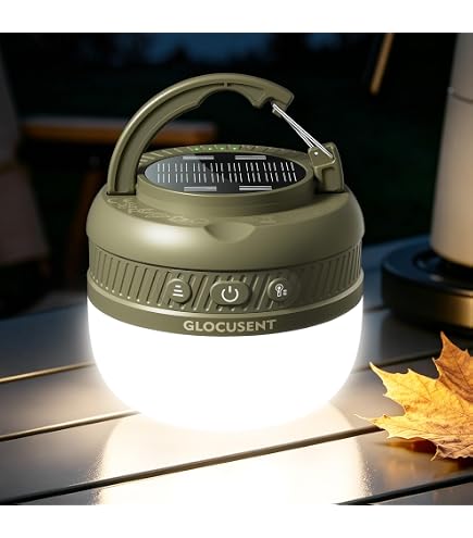 Amazon.co.jp: BioLite SiteLight オーバーヘッドストリングライト