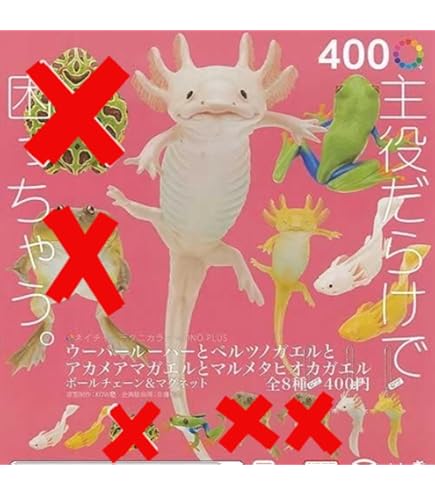 Amazon.co.jp: ネイチャーテクニカラー 小笠原 【7.メグロ