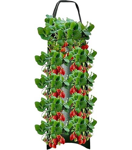 Amazon.co.jp: イチゴ 栽培用プランター いちご ポット いちご 野菜用