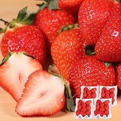 【熊本県水上村】 熊本県産いちご ゆうべに 250g×4パック イチゴ 果物 苺 フルーツ 冷蔵 ギフト (【2027年1月出荷分】約1kg(250g×4パック))