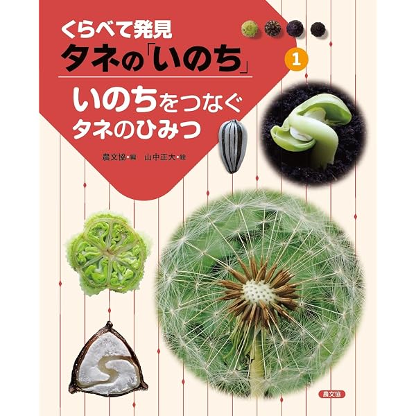 いっぱいあるよ!花のつくり (1) (くらべて発見花の「いのち」 1