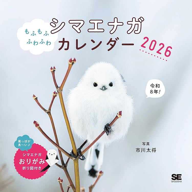 Amazon.co.jp: もふっとシマエナガ カレンダー2026 ([カレンダー