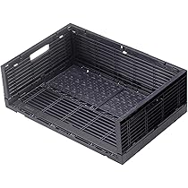 71QT33lJzLL._AC_UL210_SR210,