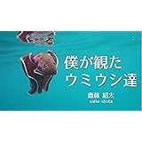 僕が観たウミウシ達