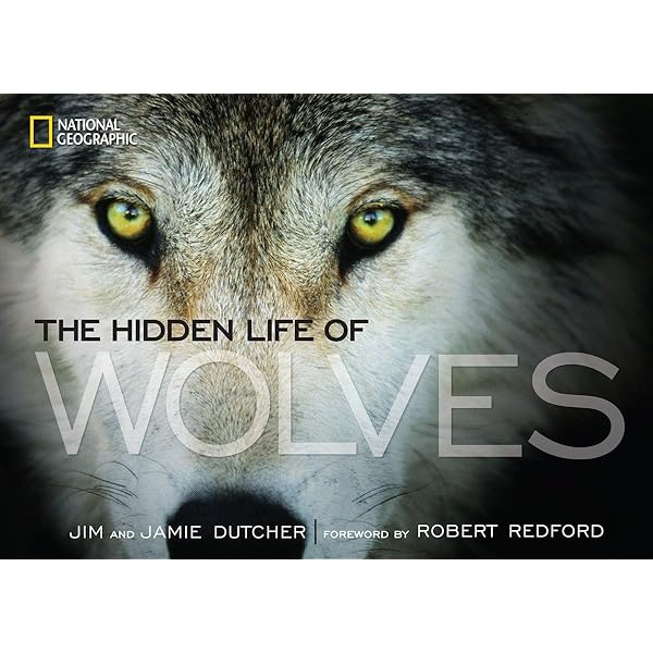 その他 Living With Wolves &amp; Wolves at Our Door [DVD] Amazon.com: Living with Wolves/Wolves at Our Door : Jamie