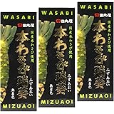 本わさび瑞葵 70g チューブ 田丸屋 山葵 ねりわさび 練りわさび チューブ すりおろし 薬味 調味料 スパイス 国産 お土産 (3本セット)