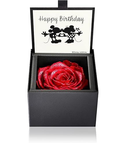 お祝い　誕生日　ギフト　プリザーブドフラワーアレンジ　赤いバラ　フラワーアレンジ 送料無料】ピアノアレンジ【プリザーブドフラワー】バラ