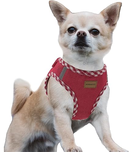 Amazon.co.jp: ONS レインボーハーネス オレンジ #25 (大型犬) : Pet