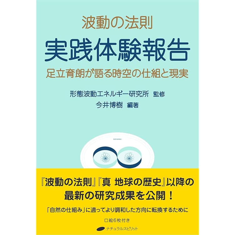 スレーヌ シルバー製 足立育朗氏 形態波動エネルギー研究所