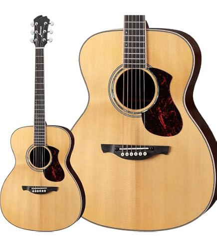 Amazon | James J-500L BLK エレアコ アジャスタブルサドル搭載 簡単弦