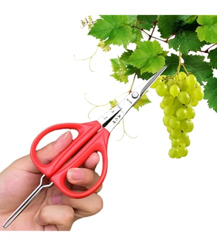Amazon | 多機能ぶどうはさみ、ぶどうはさみ - ビスタクリエイティブ