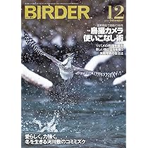 BIRDER（2022.1-12月号）　12冊セット BIRDER（バーダー） 2024年12月号 (発売日2024年11月15日) | 雑誌/電子