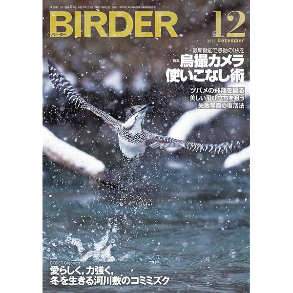 Amazon.co.jp: BIRDER 2022年 11 月号 [雑誌] : Japanese Books