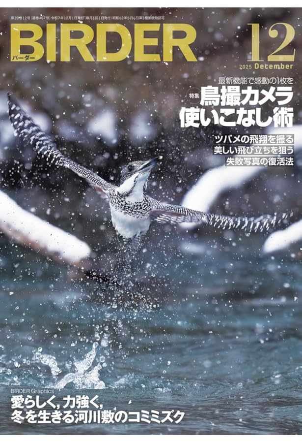 BIRDER（バーダー）2024年12月号 見たい！知りたい！ カラ類 | BIRDER
