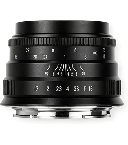 Amazon.co.jp: シグマ 19mm F2.8 EX DN ソニーEマウント用 デジタル