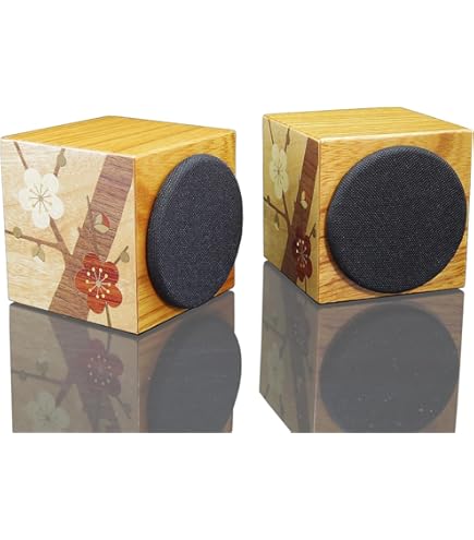 Amazon.co.jp: 高井工芸 ハイクラフト 天然木 本欅 キューブスピーカー