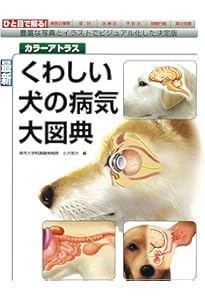 イラストでみる犬の病気・イラストでみる猫の病気（2冊セット