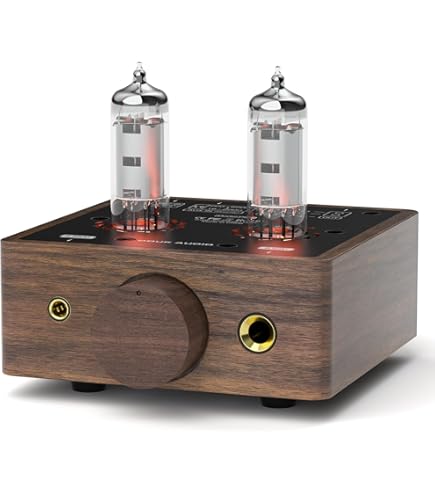 真空管アンプ FourChannel AF-02 USB-DAC プリメイン Amazon.co.jp: Four Channel 真空管Mini USB AMPLIFIER AF-02