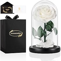 21本黒白バラブーケ プレゼント お祝い 枯れない花 永生薔薇　特別な人へ 21本黒白バラブーケ プレゼント お祝い 枯れない花 永生薔薇