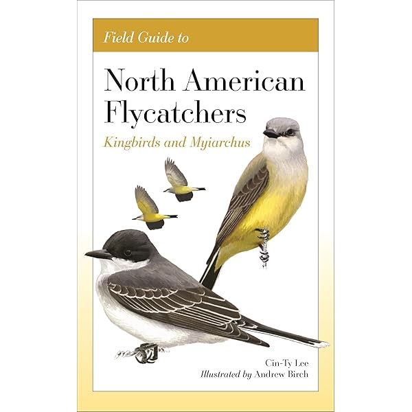 Amazon | Gulls of North America, Europe, and Asia | Biological