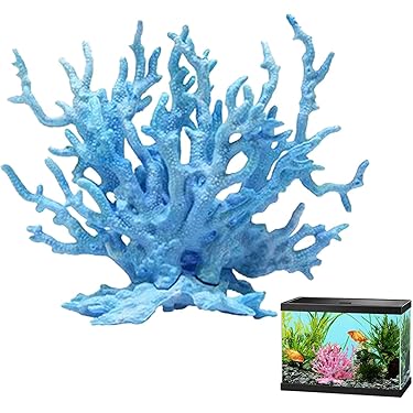 Amazon.co.jp 売れ筋ランキング: 水槽用サンゴ の中で最も人気のある