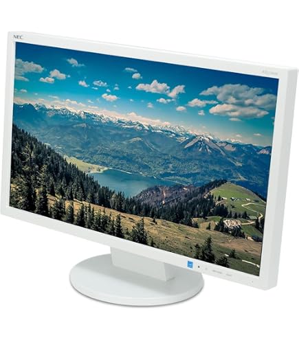 Amazon.co.jp: NEC MultiSync [55型液晶ディスプレイ] LCD-E558