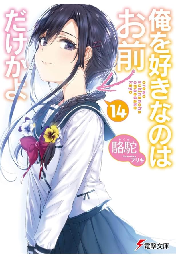 Amazon.co.jp: 俺を好きなのはお前だけかよ(16) (電撃文庫) : 駱駝