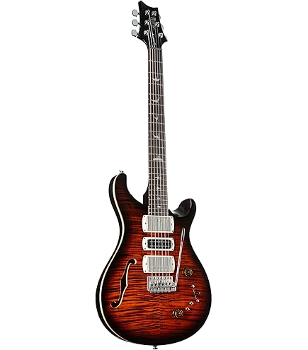 Amazon | Paul Reed Smith / 2024 SE Custom24 Semi-Hollow