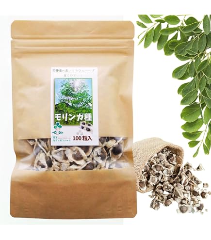 種永大疣銀冠玉　カキコ自根　サボテン ロホホラ　ロフォフォラ　鳥羽玉　テキサーナ Amazon.co.jp: 種永大疣銀冠玉 カキコ自根 サボテン ロホホラ