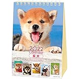 Amazon 22年 犬川柳 週めくり カレンダー Vol 005 カレンダー 文房具 オフィス用品