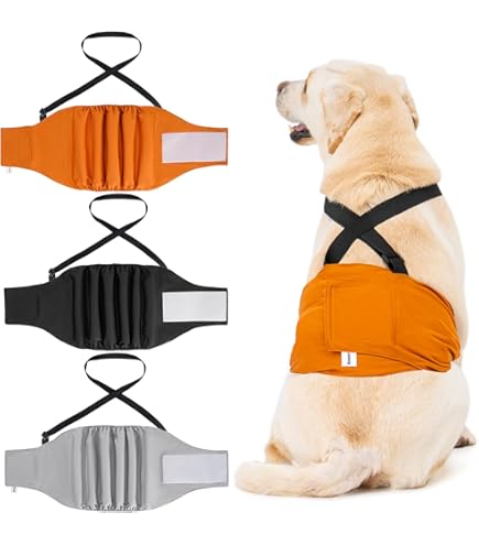 Amazon | Bule Maple マナーベルト 犬 男の子 おむつ 女の子 おむつ