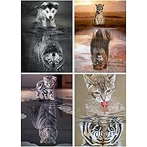 Amazon.co.jp: 4枚セット ダイヤモンドアート 花 30x40cm ダイヤモンド