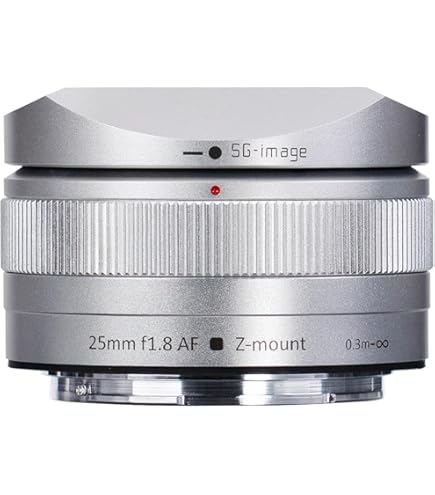Amazon.co.jp: 銘匠光学 TTArtisan 50mm F0.95 APS-C ソニー E