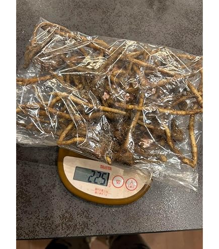 Amazon.co.jp: 布袋竹地下茎 1株 地下茎根っこ 5本 : DIY・工具・ガーデン