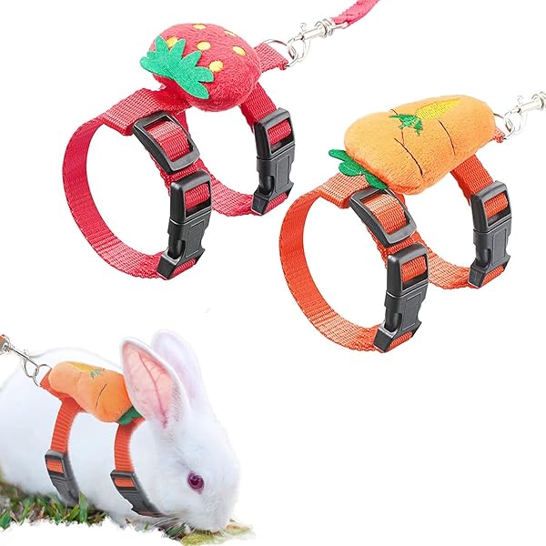 niteangel rabbit harness