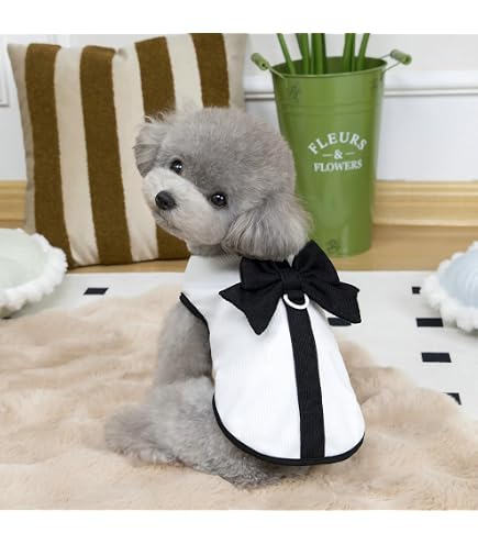 Amazon | ギンガムチェックエプロンワンピース 犬服 春夏 (ブラック