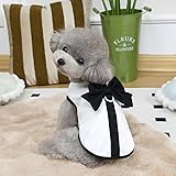 Bornoon 犬服 ワンピース 春夏秋冬 レーススカート ドッグドレス 犬猫用 お姫様風 UVカット 可愛い 小型犬 中型犬 お出かけ用 (Tシャツ, L)