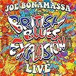 British Blues Explosion Live