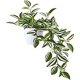 MOSADE フェイクグリーン 光触媒 人工観葉植物【ハカタカラクサ】ミニ インテリアグリーン 小さい 造花 卓上 世話いらず 水やり不要 オフィス ホーム デコレーション