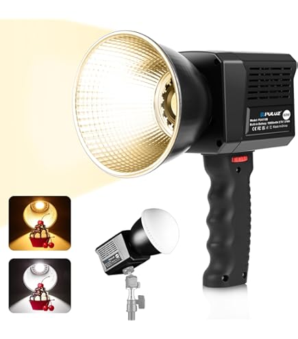 Amazon.co.jp: 岩崎電気 写真照明用アイランプ デイライトカラー用