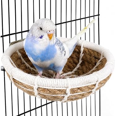 Amazon.co.jp 最新リリース: 鳥用品 の新着ランキングです。