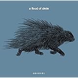 伝説の夜を君と(通常盤)