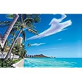 ハワイアン雑貨 インテリア/キャンバス パネル絵(Waikiki Beach) 【ハワイ雑貨】【お土産】