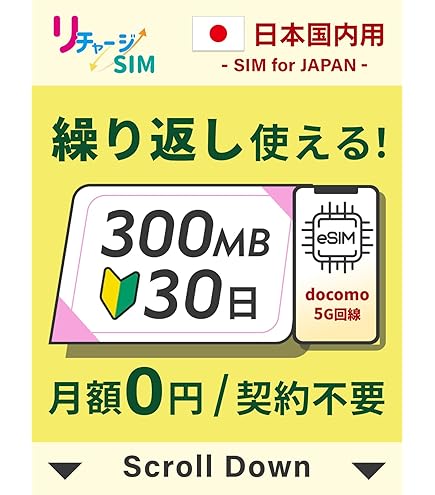 リチャージモバイル・リチャージWiFi専用　　　 100Gリチャージカード リチャージWiFi 【リチャージSIM専用】100ギガ_365日 リチャージカード