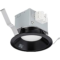 Amazon.co.jp: 大光電機（DAIKO） ダウンライト(軒下兼用) LED 