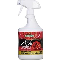 鹿の角熱消毒洗浄済み薔薇売りあり imgrc0094509640.jpg
